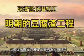 明朝的豆腐渣工程视频封面