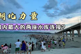 国内最大的两座水库连接，意义重大！这就是湖北力量！视频封面