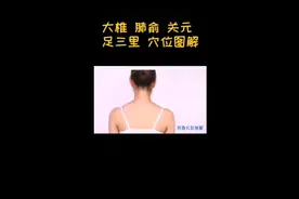 人体经络穴位图解视频封面
