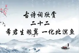 古诗词欣赏 希君生羽翼，一化北溟鱼 高考 语文 李白 诗词视频封面