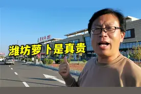 山东高速潍坊西服务区真的是高大上，这里萝卜按个卖，价格吓人！视频封面