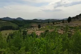 探秘山东最长河流源头，就是一条小河沟，老乡们都说这里是源头视频封面