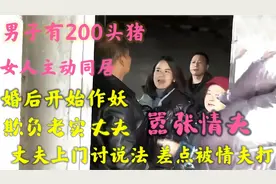 男子有200头猪，女人主动同居，婚后养猪失败妻子“花式作妖”视频封面
