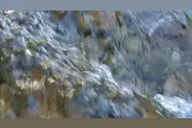 平沧河泉水流北京视频封面