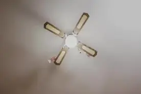弹簧爱情故事02之有多少人小时候觉得自己是妈妈捡回来的图片