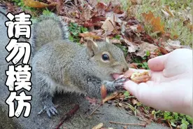 松鼠想吃坚果味的手指～