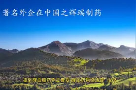 著名外企在中国之辉瑞制药视频封面