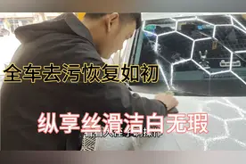 车主们请注意落树胶的季节到了，满车树胶叔侄洗车教你如何搞定。视频封面