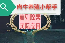 前列腺素在临床实际中如何应用视频封面