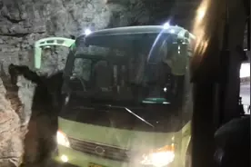 河南新乡天界山游玩  在山道上大巴和大巴相遇  开车需要技术视频封面