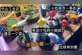 东莞大朗竹山工业区：小吃夜市一条街遇见一个卖电动小鸟的小姐姐视频封面