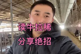 读牛拉稀治不好怎么办，老宋把牛厂的经验分享给大家，绝招视频封面