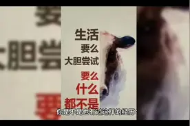 反刍思维（rumination）视频封面