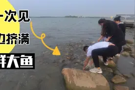 距天津市中心20公里的免费大景区，成群的大鱼往湖边挤，能遛娃视频封面