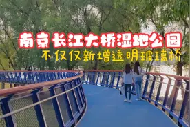 南京长江大桥湿地公园正式免费开放，不仅新增透明玻璃桥