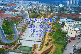 《谢谢你的爱》完整版视频封面