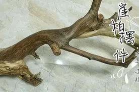 广西黄老板寄来崖柏随形摆件料子，加工过程，第一集视频封面