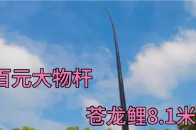 百元大物杆，苍龙鲤8.1米，这是我买过最便宜的大物杆视频封面