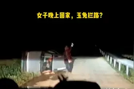 女子晚上开车回家，遇到玉兔拦路？视频封面