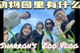 周末就该和朋友一起逛动物园儿！视频封面