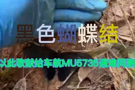 《黑色蝴蝶结》自从东航MU5735✈️出事和你不认识，心还是好痛视频封面