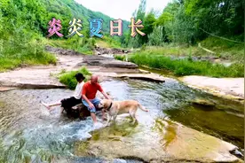 离咸阳70公里西安100公里，竟有如此原生态河沟，自驾好去处视频封面