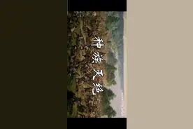 转发别人的，希望更多人知道真实