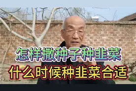 采用这种方式撒种种韭菜出苗全，在这个时候种出苗快视频封面