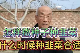 采用这种方式撒种种韭菜出苗全，在这个时候种出苗快视频封面