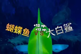 海底大猎杀：蝴蝶鱼战胜海豚，实现海豚自由，最终战胜大白鲨！视频封面