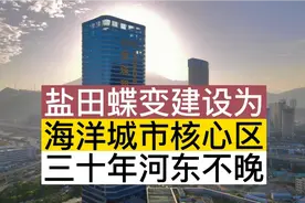 深圳盐田全球海洋城市核心区，三十年河东不晚，面朝大海视频封面