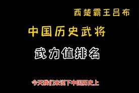 中国历史武将战力排行榜视频封面