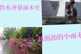 乌鲁木齐7月31号暴雨未至淅沥沥的小雨一直未停雨中的街道行人视频封面