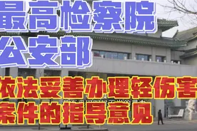 最高人民检察院公安部发布依法妥善办理轻伤害案件的指导意见视频封面