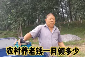 江苏徐州，农村养老保险钱一月能领多少钱，大叔：不够生活费视频封面