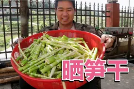 小竹笋吃不完，小农乡教你晒“笋干”，掌握这些，笋干又黄又脆视频封面