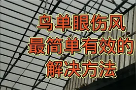 鸟得了单眼伤风怎么办？这样治疗简单、安全、有效！视频封面
