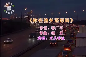 经典老歌《你在他乡还好吗》光头李进原唱完整版视频封面