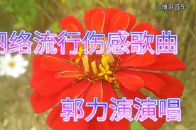 一首《我一直在等着你》，歌声优伤感人心肺，百听不厌。视频封面