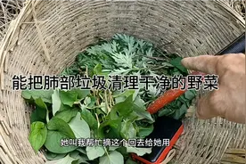 鱼腥草和它一起凉拌了吃对付病毒感冒引起的痰多排痰较果真的很好视频封面
