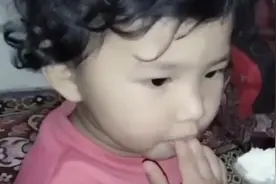 猫咪吃着中国米饭大声叫着爸爸，不知应如山般的父亲早已弃她远去