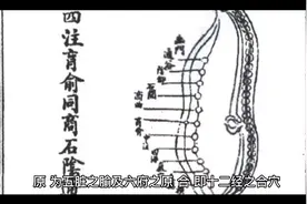 针灸大成译文杂病穴法歌1视频封面