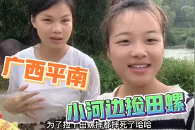 广西平南，乡村小河边捡田螺，太爽了？视频封面