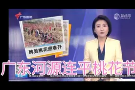 火爆！广东连平桃花节人山人海视频封面