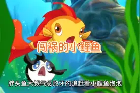 益智动画:小鲤鱼被胖头鱼追赶说儿子头上的包是他打的，另有原因