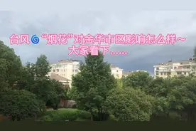 关注台风🌀“烟花”动态，金华市区现在怎么样呢？请大家看下