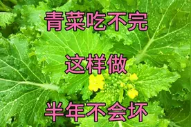 青菜吃不完，学会这招，半年不会老也不会坏视频封面