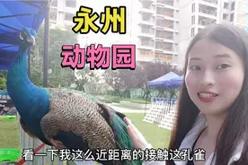 永州也有动物园了，五一节假日，想要看动物就来这里视频封面
