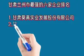 甘肃兰州市最强的六家企业排名视频封面