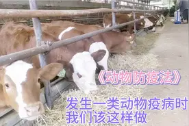 《动物防疫法》当发生一类动物疫病时我们该这样做！视频封面